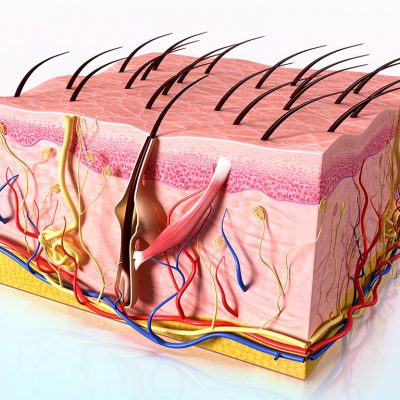 Saç dökülmesi medikal tedaviler