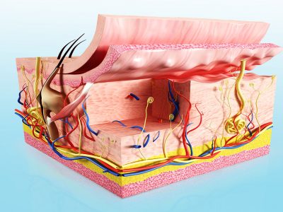 Saç yapısı ve fiziyolojisinde dökülme kopma kırılma oluşması durumunda doktora başvurmalısınız.