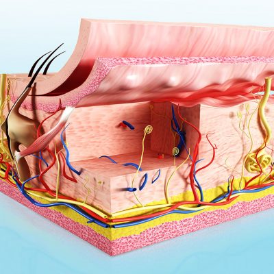 Saç yapısı ve fiziyolojisinde dökülme kopma kırılma oluşması durumunda doktora başvurmalısınız.